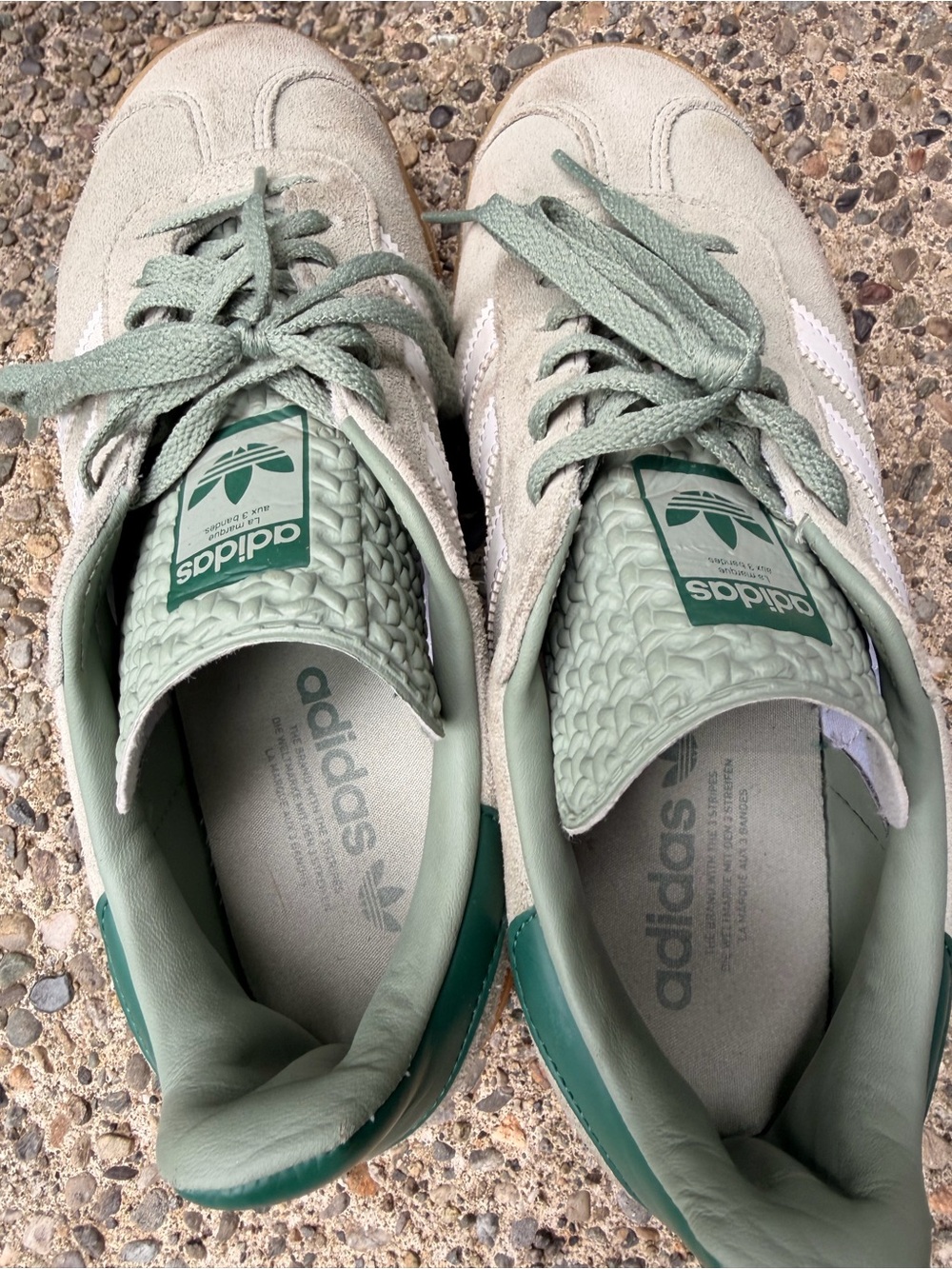 adidas Gazelle Women’s Sneakers - Sage Green & White with Gum Sole - Picture 4 of 7
